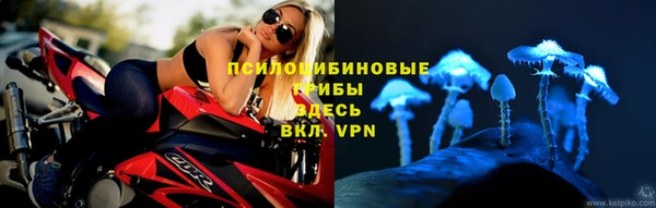 гашик Рославль