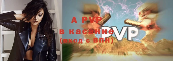 сатива Баксан