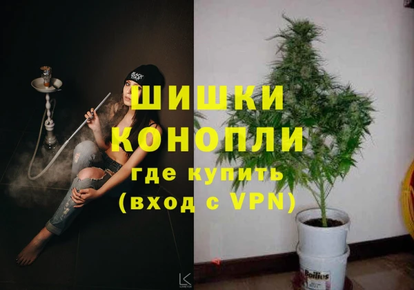 сатива Баксан