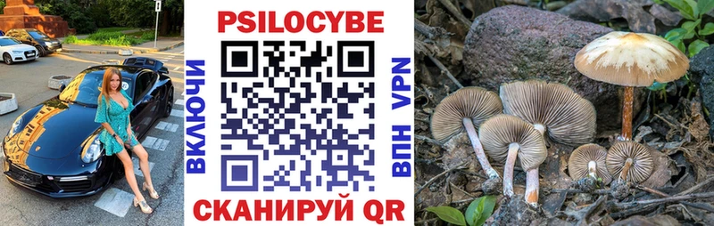 купить наркотик  Болохово  Галлюциногенные грибы Psilocybe 
